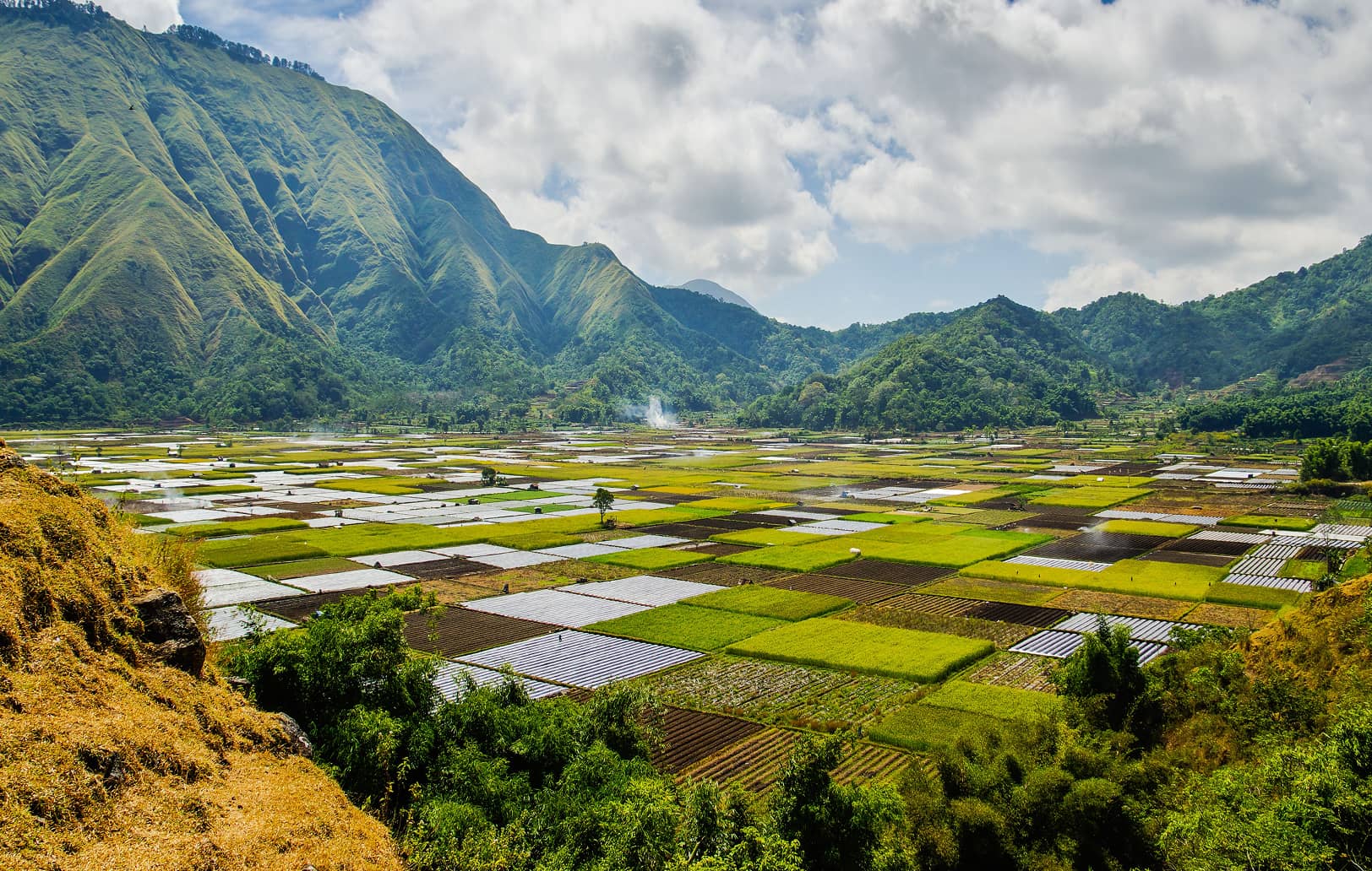 plowed fields between mountains